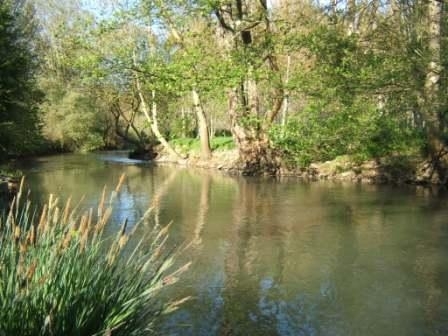 rivière La Clouère sur la comune de Marnay